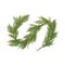 9' Artificial Norfolk Pine Garland – Christmas Greenery for Mantels & Staircases